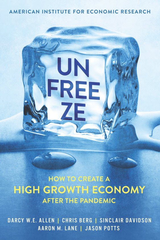 Cover of Unfreeze: How to create a high growth economy after the pandemic